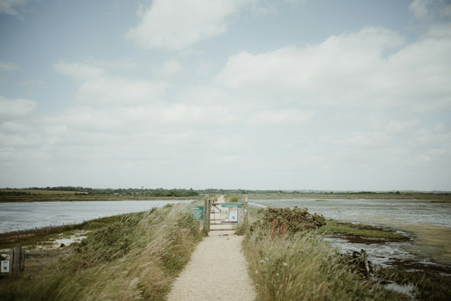 Un sendero entre dunas junto al mar.